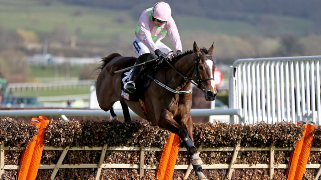 Trainer Willie Mullins singled out JLT Novices’ Chase hopeful Vautour for special praise after his post-racing workout at Leopardstown on Saturday. Photograph: Dan Sheridan/Leopardstown