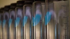 Research finds way to curb racist tweets