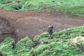 Tom Phillips: How a fugitive took his kids and hid in the New Zealand wilderness