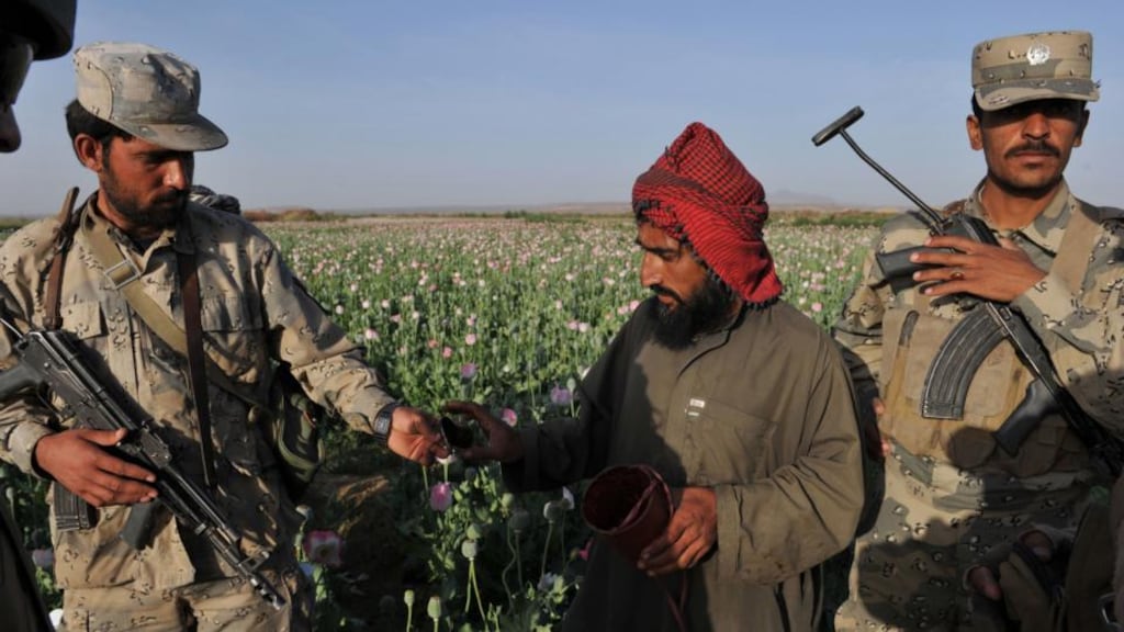 A file photograph of Afghanistan National Police officials seizing an opium poppy scoring tool from a farmer in a poppy field at Maranjan Village in Helmand province. Photograph: Bay Osmoyo/AFP/Getty Images.