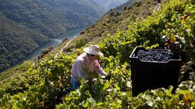 The reign of Spain: How to find top-notch, great-value wine