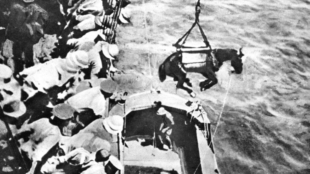 Military manoeuvre: horses are unloaded from a British ship during the Dardanelles campaign in 1915. Photograph: Getty Images