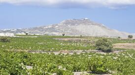 The white wines of Greece