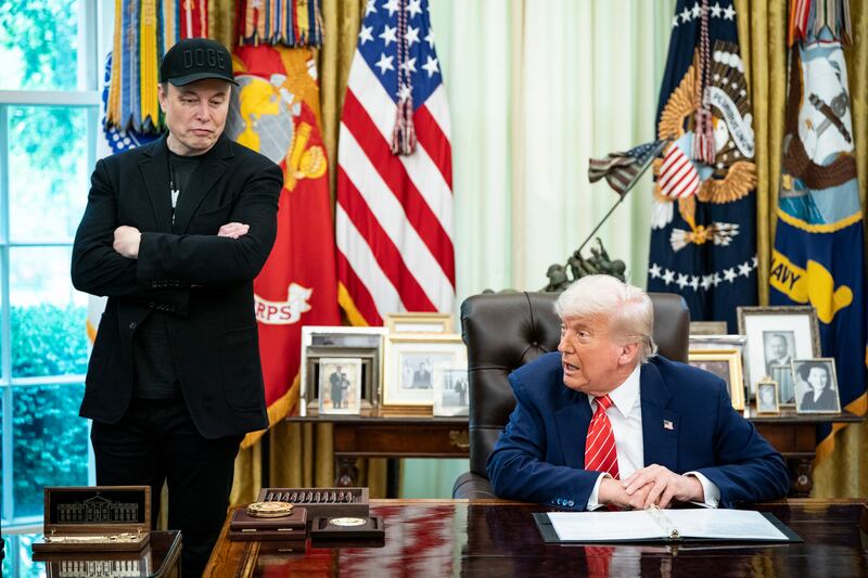Elon Musk with President Donald Trump during a joint news conference in the Oval Office of the White House in Washington, in May. Photograph: Haiyun Jiang/The New York Times