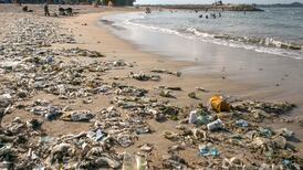 Scientists accidentally engineer a plastic-eating enzyme