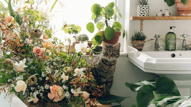 Take up floristry and read the The Flower Fix: Modern Arrangements for a Daily Dose of Nature, by White Lion Publishing.