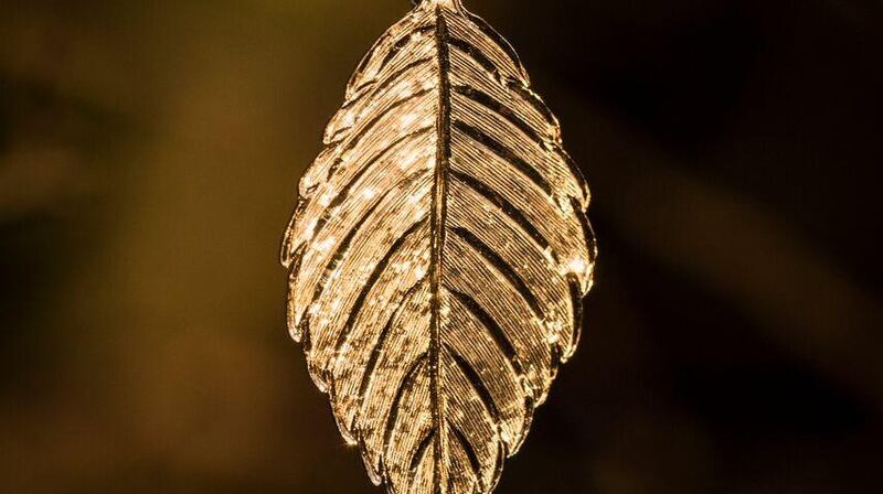 Pendant from the Sacred Trees collection by Brian Dunn of Weirs.