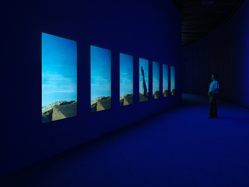 Chorus in Rememory of Flight, Julianknxx. Photograph: Eva Herzog/Barbican Art Gallery