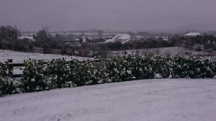 Snow in Banahoe, Co Cavan. Photograph: Carol Gaffney