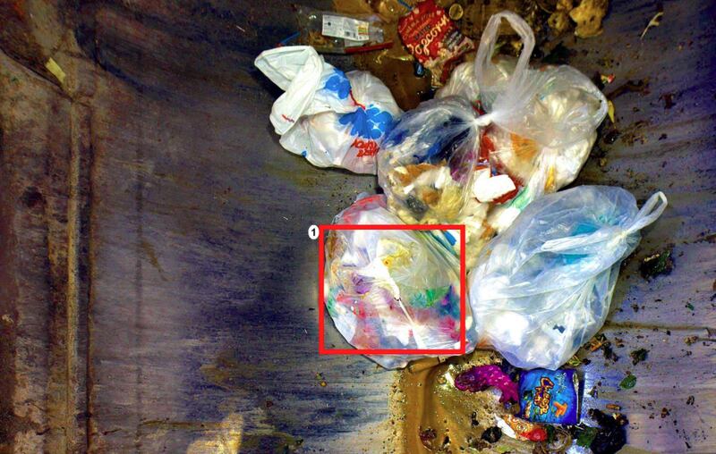 Photograph of the 'contaminated waste' emailed by Panda to Rachel Senior in August 2025