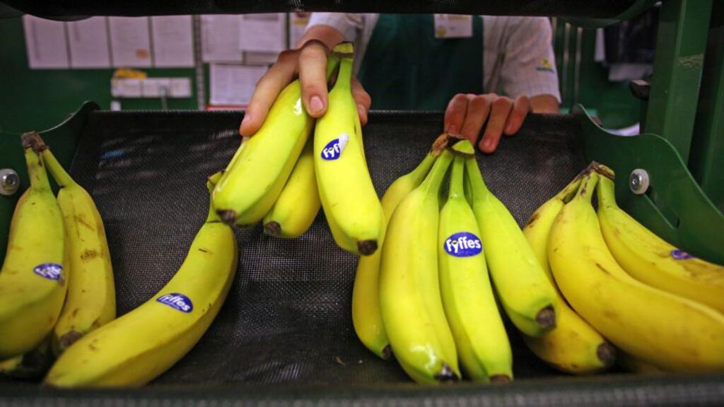 Fyffes shareholders will end up owning 49.3 per cent of the enlarged company, with Chiquita’s shareholders controlling the remaining 50.7 per cent. Photograph: Bloomberg