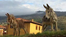 Vamos, amigos! This was a different class of language trip