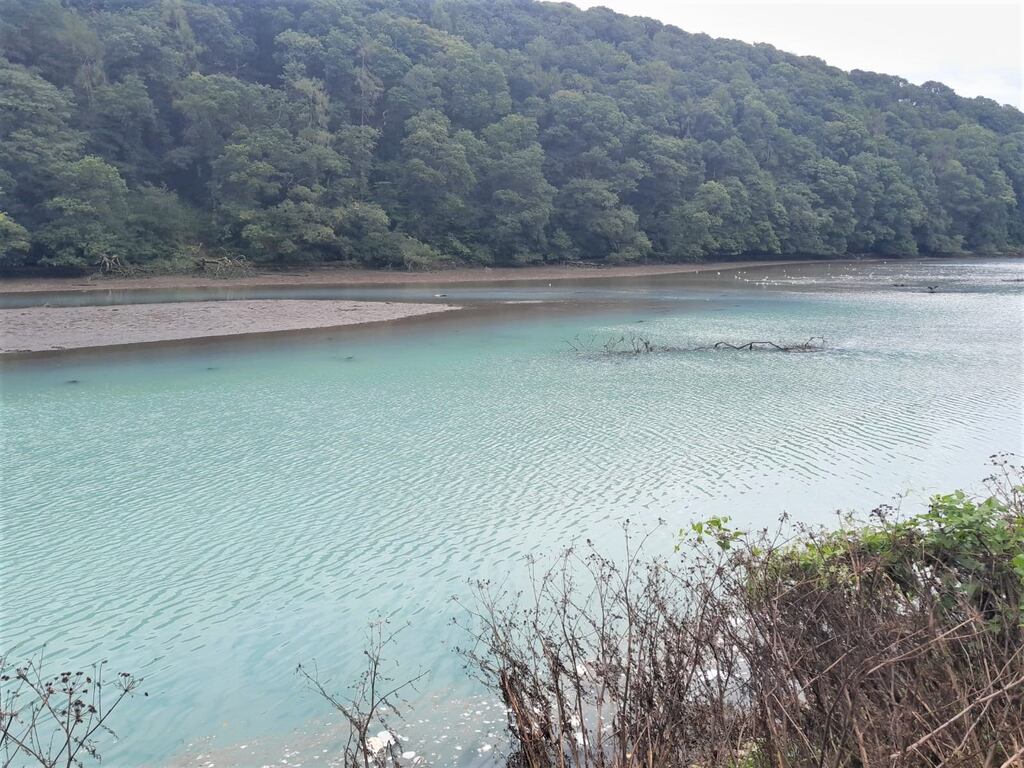 Pollution incident on Glashaboy River in Glanmire, Co Cork