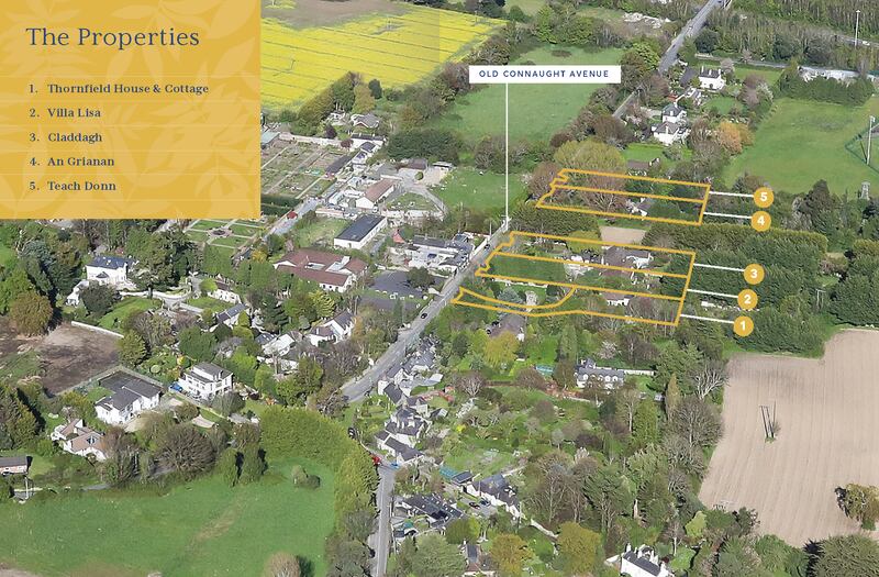Aerial view of five detached properties on Old Connaught Avenue, Bray, Co Wicklow