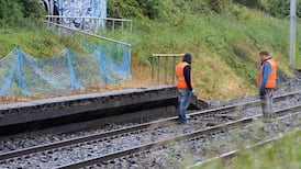 Some Dart trains cancelled due to theft of signal cable