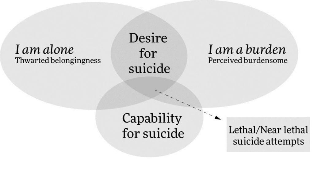 Thomas Joiner’s Interpersonal Theory of Suicide.