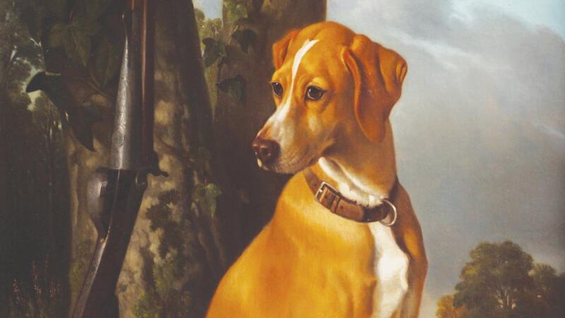 Lot 54, portrait of a hunting dog