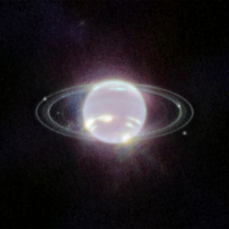 Neptune with its rings and several of its moons captured by the James Webb Space Telescope. Photograph: Nasa via The New York Times