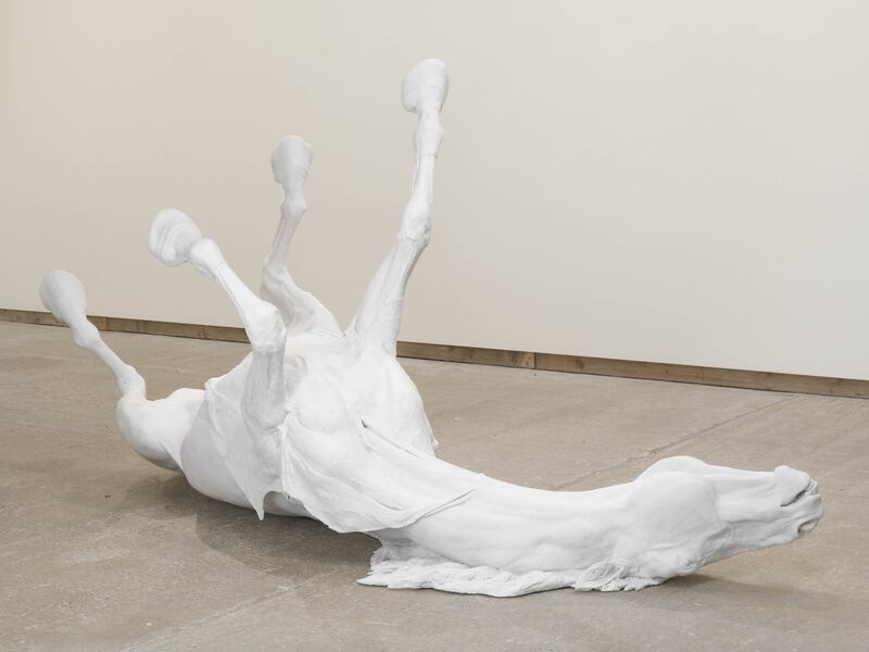 Daphne Wright, Stallion, 2009, collection of Irish Museum of Modern Art.