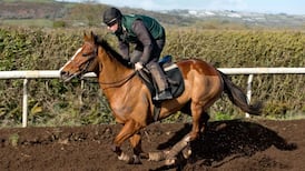 Faugheen leads Willie Mullins’s three-pronged attack on Champion Hurdle