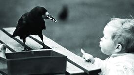 From the Archive: The rook and the rookie come face to face