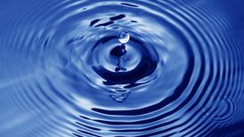 Greater participation in science projects is crucial