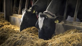 Biogas production target could cost €1.5bn and see a reduction of 400,000 farm  animals