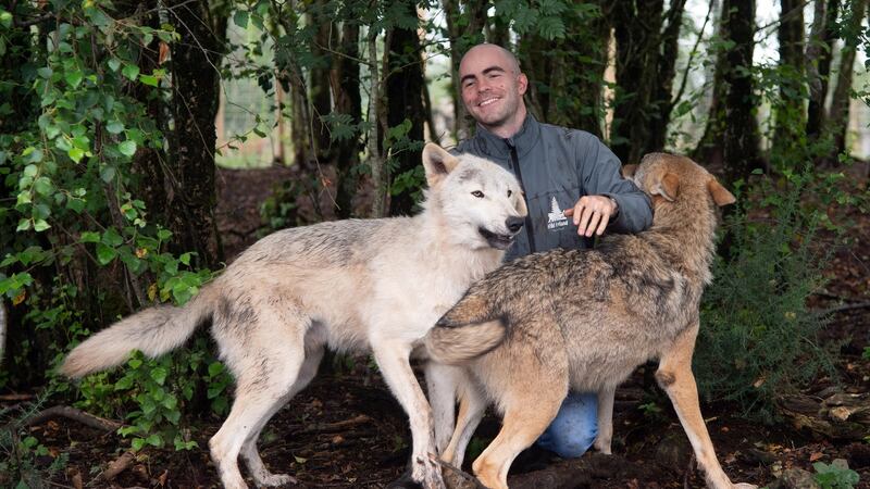 Killian McLaughlin with his wolves Oisín and Finn in the Wild Ireland Sanctuary in Burnfoot, Co Donegal. Photograph: Joe Dunne