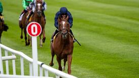 Aidan O’Brien has four in Arc as Serpentine is supplemented