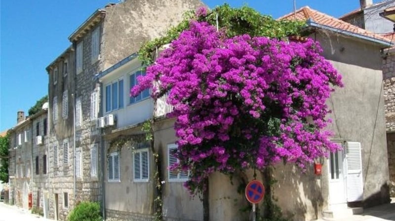 This three-bedroom house is about 70km from Dubrovnik.