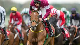 Road seeking Clonmel riches for Noel Meade