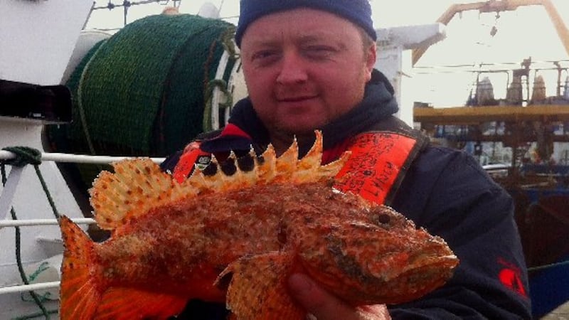 Rare scorpion fish caught off Waterford