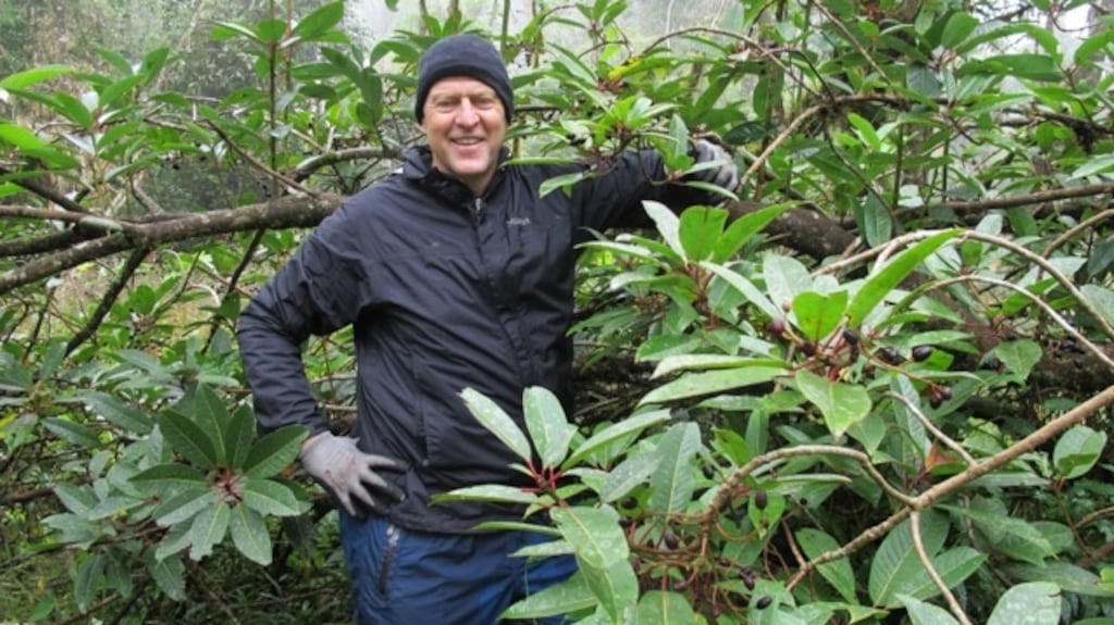 Dan Hinkley in Vietnam with Daphniphyllum. Photograph: Uoc Le Huu