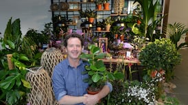 Diarmuid Gavin and Dunnes Stores aim for Outer Spaces