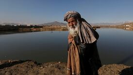 Taliban leader urges Afghans to plant more trees