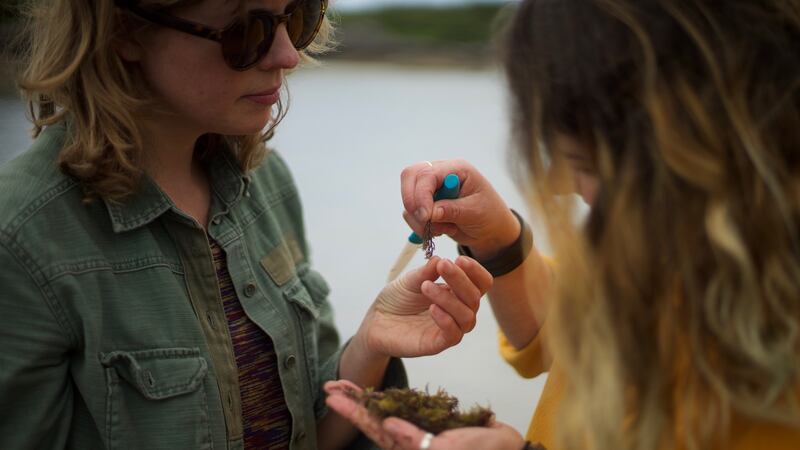 Kari Cahill and Hazel McCague: their work has taken them from art and installations at festivals, including the Electric Picnic, Body and Soul and Bloom. Photograph: Ashley Beer