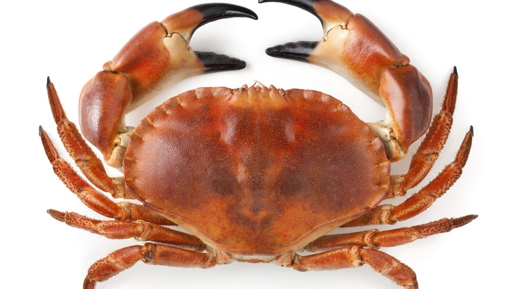 Potted crab goes perfectly with soda bread. Photograph: iStock