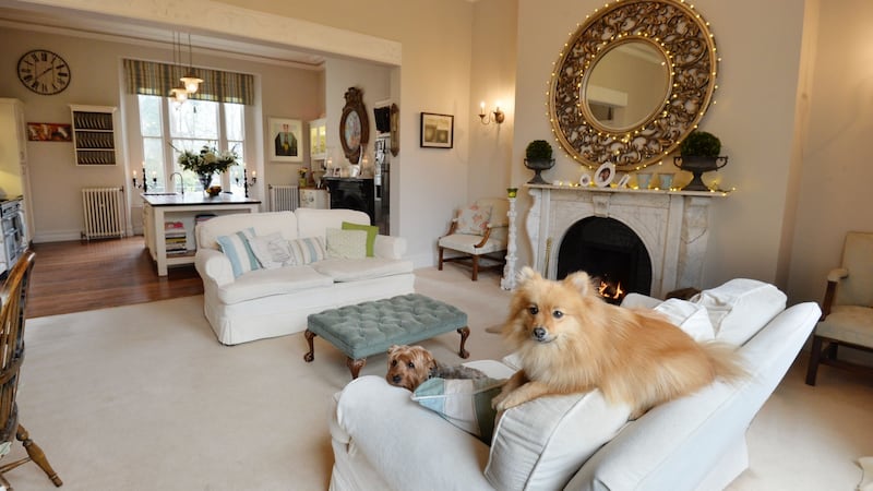 Lorraine Keane’s dogs Slipper and Chip in the lounge. Photograph: Alan Betson / The Irish Times