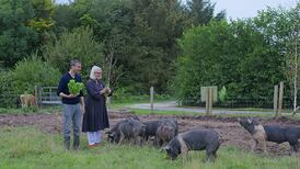 Netflix releases Irish food show from ‘Everybody Loves Raymond’ creator