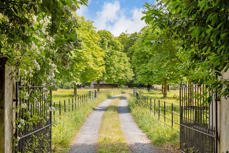 Entrance gate on to long driveway
