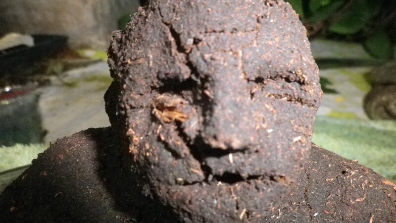 It is fascinating to work with a material, which came into being because of light, but has not seen the light of day for thousands and thousands of years. The creatures created seem to have an independent existence, shrinking, ageing, changing and in some cases composing their own poems