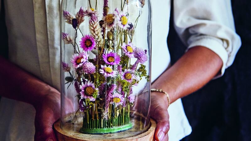 From the new book Everlastings by Bex Partridge. Photograph: Laura Edwards