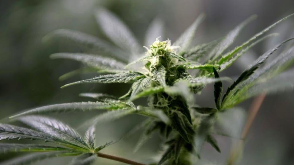 Photograph: David Paul Morris/Bloomberg