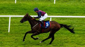 Last year’s runner-up Ndaawi out to go one better in Galway Hurdle