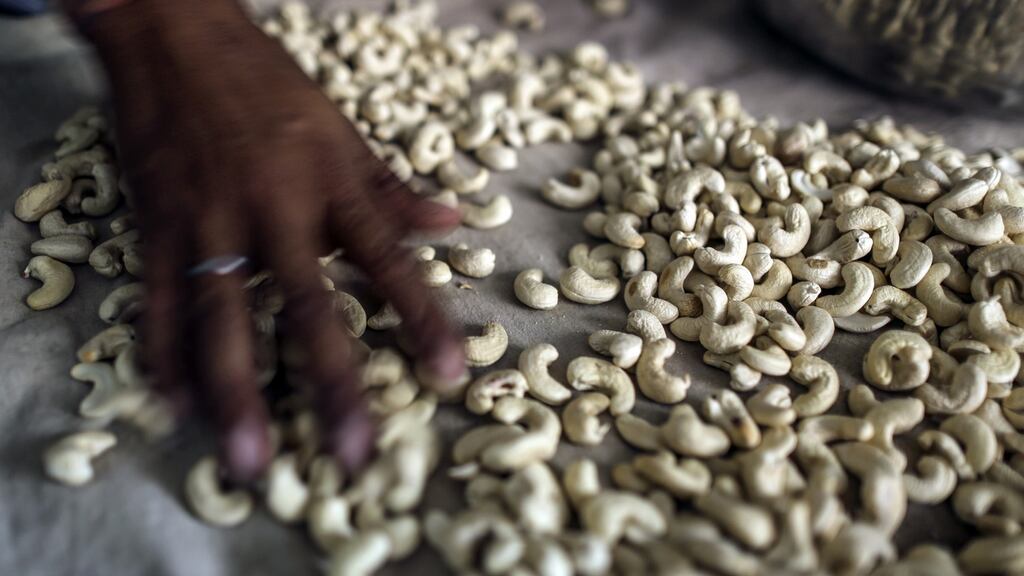 The tight supply situation has been aggravated by the troubles facing India’s cashew processors. Photograph: Dhiraj Singh/Bloomberg