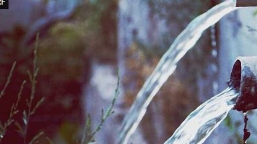 Water quality in our rivers, lakes, estuaries and coastal waters 'is in decline', Dr Tom Ryan, director of the EPA’s Office of Environmental Enforcement said