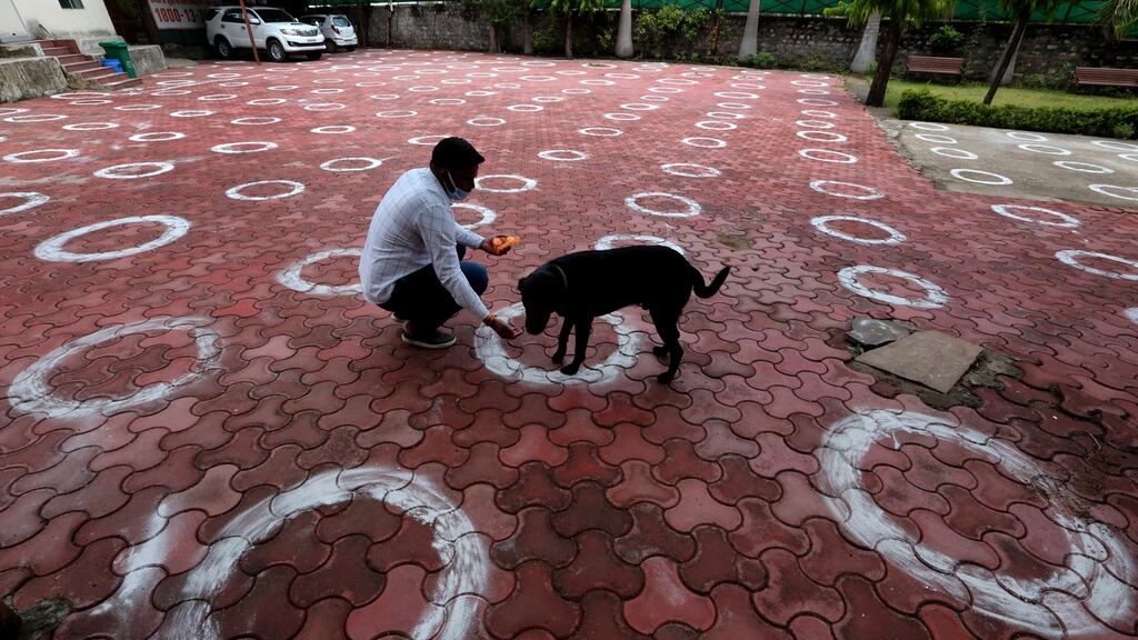 A man feeds a dog in a social distancing area in Bhopal, India, on Saturday. Photograph: EPA