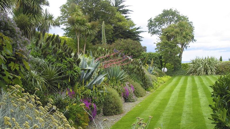 Bernard Hickie garden in Killiney