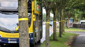 Yellow ribbon protest against tree felling for BusConnects project in north Dublin