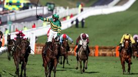 Champion Hurdle winner Espoir D’Allen put down after ‘freak accident’